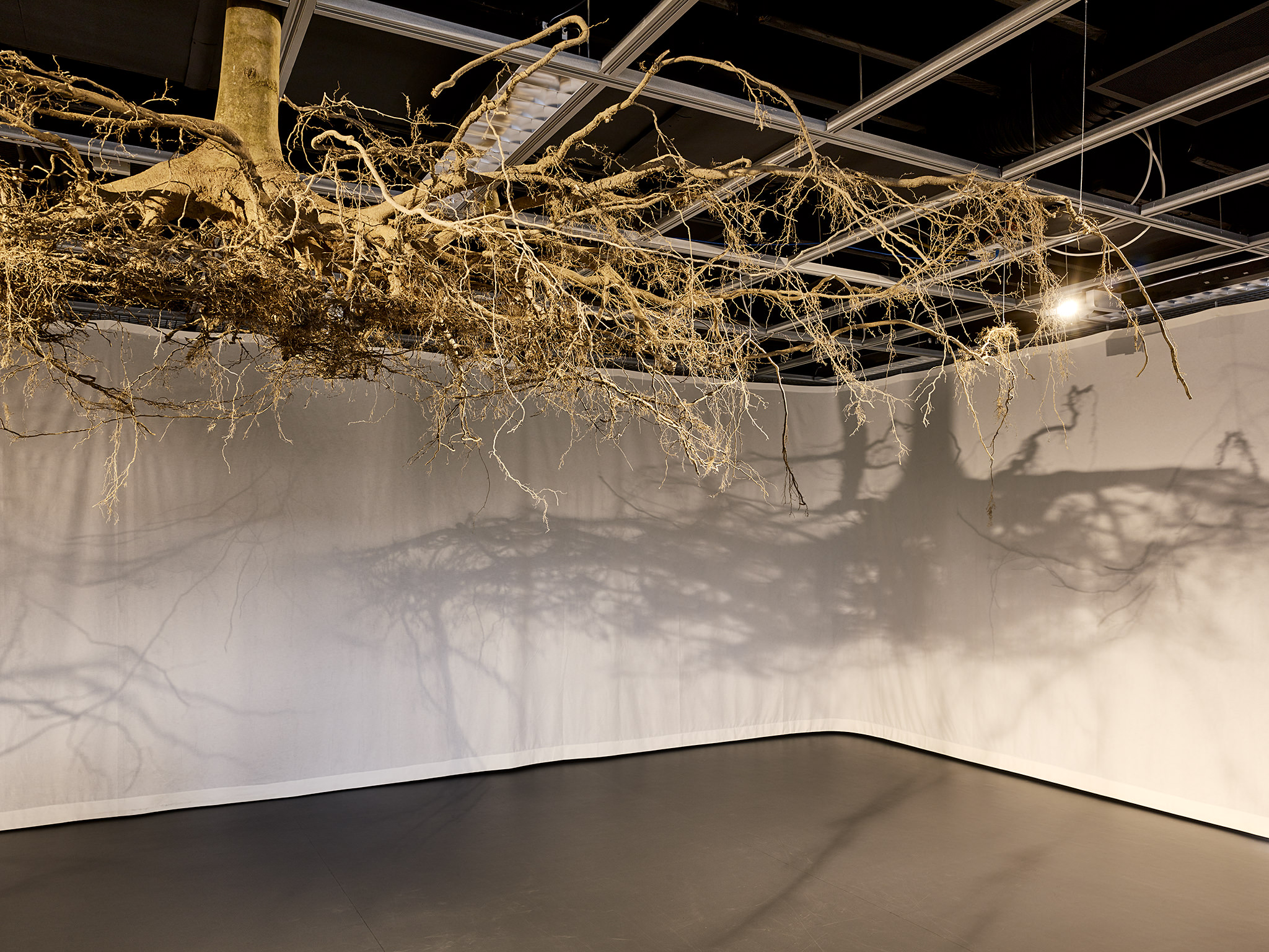 LIVE MATTER - Design Vegetal